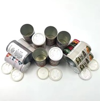 Bocaux en carton ronds personnalisés pour emballage en tube de poudre en papier de sel avec tamis secoueur pour poudre nettoyante pour tapis