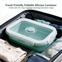 Boîte à lunch pliable pour le camping avec corps en silicone de qualité alimentaire et couvercle en PP pour les voyages, les bagages et les commandes en gros