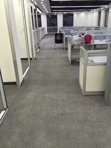 Moquette en rouleau tissée en polaire touffetée pour hôtel, <span class=keywords><strong>pas</strong></span> chère, en polypropylène, pour couloir, mur à mur - Product Image 3