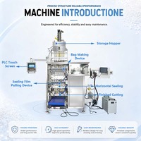 Machine d'emballage entièrement automatique multi-voies à scellage 4 côtés pour sachets de granulés d'assaisonnement MSG saveur poulet