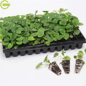 Miglior vassoio per piantare <span class=keywords><strong>semi</strong></span> di <span class=keywords><strong>vendita</strong></span> - Product Image 6