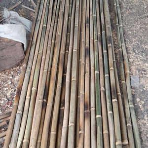 Cannes de bambou biologique (1.6-1.8cm de diamètre 50-250cm de longueur) pour le soutien de la croissance des plantes de vignoble-Marque OEM - Product Image 6