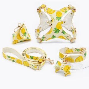 Venta al por mayor de arneses originales de moda imprimibles para mascotas, correas, collares para gatos y perros Suministros transfronterizos para mascotas - Product Image 1