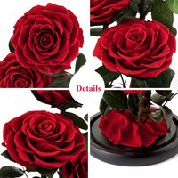 Fleurs préservées en verre, rose de la Belle et la Bête, fabrication artisanale, prix de gros bon marché, longue durée