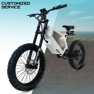 SS60 Venta caliente Bicicleta eléctrica Servicio visual Producto personalizado Alta potencia Cross-Country Ebike - Product Image 6