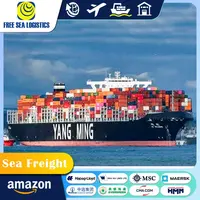 바다 화물 운송 물류 서비스 배송 속도 중국 베네수엘라 에콰도르 위험한 상품 배송 에이전트
