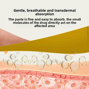 Patchs magnétiques au curcuma les plus vendus, extraits végétaux, coton doux, respirant, absorption transdermique, soulagement des douleurs articulaires - Product Image 4