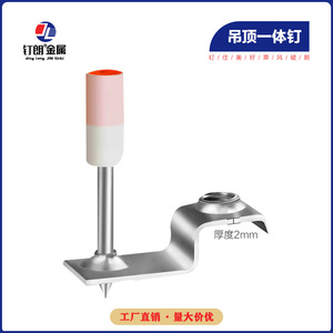 Clou intégré pour plafond métallique Dinglang, épaisseur 2 mm, type vis, pour la décoration de bâtiments - Product Image 1