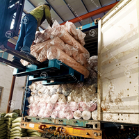 Usine 100% Polyester literie tissu pas cher prix Pigment imprimé 65/70/75gsm 220/240cm drap de lit tissu