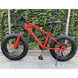 Bicicleta Plegable de Una Velocidad con Llantas Anchas de 20 Pulgadas, Cuadro de Acero, Neumáticos para Nieve y Montaña, Modelo YM-FB-01 - Product Image 2