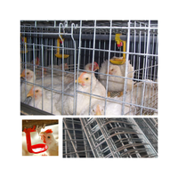Cages de ponte automatiques pour poulets de chair 3 niveaux 4 niveaux 60/80 oiseaux Type H Batterie galvanisée à chaud Cage pour poulets de chair pour l'élevage de volailles