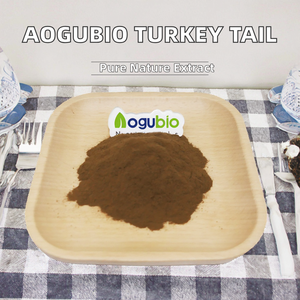 Extracto Herbal Silvestre 30% 50% Shilajit Coriolus Versicolor, Extracto Natural de Hongo Cola de Pavo en Polvo, Envasado al Vacío en Tambor - Product Image 2