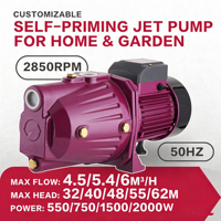 ZHELI JET-80 Elektrische Handstart-Jetpumpe Selbstansaugend 0,75 PS Motor Gusseisen-Gehäuse IP54-Schutz Gartenpumpe mit Geringer Lautstärke