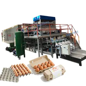 recycle paper pulp molding 10 cell eggs tray carton rack making machine