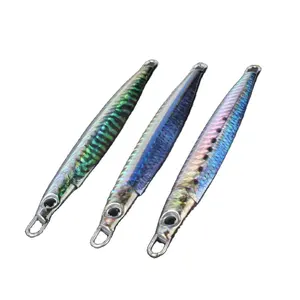 20g 30g 40g 60g di Jigbait stampati 3D Jigs pesca in acqua salata esca per la pesca costiera