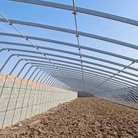 Estructura de Acero Prefabricada para Granjas, Establos para Vacas, Ovejas, Ganado, Lecherías, Cabras, Gallineros, Cobertizos para Cerdos