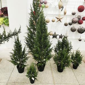 120CM/150CM/180CM Cyprès Artificiel Chauve pour Décorations de Noël Faux Cyprès des Marais Arbre de Noël - Product Image 6