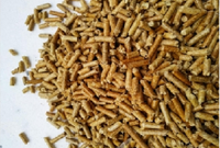 Chauffe-terrasse extérieur à pellets de bois 2M avec verre, couleur noire, écologique et économique, fournitures de jardinage