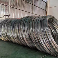 2mm 5mm 4mm 8mm 6mm 7x19 100m/rulo Kalın Paslanmaz Çelik Halat 254Smo Sınıfı Bükme Kaynak Kesme ASTM HL Yüzey
