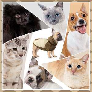 Vêtements d'hiver pour chien Sweat à capuche pour chien Manteau thermique pour chiot Vêtements pour chien Veste pour animaux de compagnie Vêtements pour chien - Product Image 4