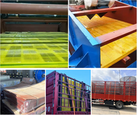 Plaques de tamis de déshydratation en polyuréthane, directement de l'usine, pour concasseurs dans l'industrie minière, avec garantie d'un an