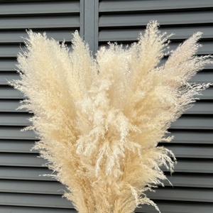Bouquet de fleurs séchées en gros : Grandes herbes de la pampa, style nordique, pour décoration au sol, mariage, Nouvel An chinois - Product Image 3