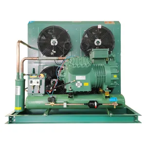 Factory 3hp 5hp 6hp 10hp Germany Air Cooled Compressor Condensing Unit for Cooling System refrigeration