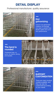 Domuz üreme kafesi için gestation domuz kafesi çelik hayvan annelik kafesleri - Product Image 6