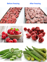 China Kleine Vriesdroger Thuisgebruik Mini Vlees Fruit Voedsel Droogmachine Droge Machine Vriesdroger Gevriesdroogde Machine