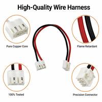 OEM ODM Kustom JST Molex Wire Harness Konektor JST ZH PH XH GH VH 2 4 5 6 7 8 10 12 Pin Kabel PVC Perakitan Kabel Wiring Harness
