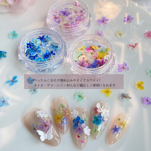 TSZS Mini vraies fleurs naturelles 3D décoration des ongles coloré bricolage <span class=keywords><strong>bleu</strong></span> violet fleurs séchées ongles breloques ongles en gros - Product Image 1