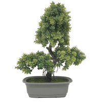 Petit Bonsaï Arbre Plante avec Vase Pin Artificiel Succulent 11ft Intérieur Décoratif Arbre en Pot pour Bureau