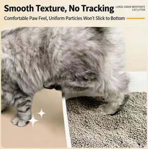 Litière pour chat biodégradable BENJIE, écologique, vente chaude, fabrication OEM/ODM, plusieurs parfums, sans poussière, forte absorption, bentonite - Product Image 3