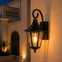 Lanterne de jardin traditionnelle avec panneaux transparents coniques pour l'éclairage d'entrée de villa