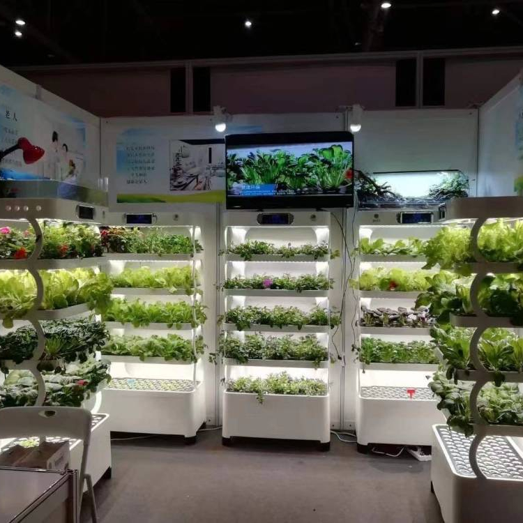 Lyine hydroponic growing system greenhouse use intelligent controllable hydroponic grow equipment home smart farm