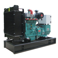 Offre Spéciale Groupe Électrogène Industriel Triphasé à Gaz Synthétique et Biogaz, Refroidi par Eau, 10kW 20kW 30kW, 50Hz/60Hz 400V/230V, Haute Efficacité