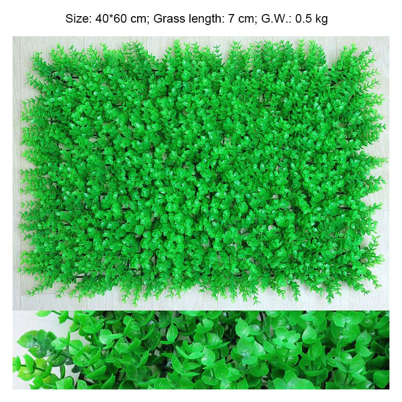 308 Pelouse d'eucalyptus