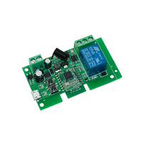 Tuya Zigbee Modul Sakelar Rumah Pintar 1CH Pengendali Relai 12V 24V 7-32V 10A Relai Bekerja dengan Alexa Google Assistant Smart Life