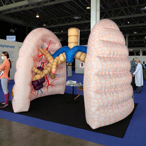 Pulmón inflable, modelo <span class=keywords><strong>de</strong></span> órgano personalizado Artificial, modelo <span class=keywords><strong>de</strong></span> corazón humano inflable, pantalla publicitaria, modelo <span class=keywords><strong>de</strong></span> pulmón inflable gigante - Product Image 1
