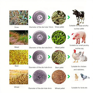 Moulin <span class=keywords><strong>à</strong></span> granulés <span class=keywords><strong>de</strong></span> <span class=keywords><strong>bois</strong></span> JIEXIN pour aliments animaux et poissons, machines <span class=keywords><strong>de</strong></span> fabrication pour volailles, poulets et autres animaux d'élevage, destinées aux usines <span class=keywords><strong>de</strong></span> production - Product Image 4