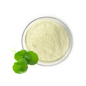 Vente en gros de poudre d'extrait d'<span class=keywords><strong>hydrocotyle</strong></span> Asiatica Extrait d'<span class=keywords><strong>hydrocotyle</strong></span> Centella Asiatica - Product Image 1