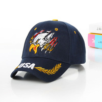 6-delige verstelbare formele dobby waterdichte velours baseballcap Eagle Hat Magic Sticker Hip Hop Dad Cap Unisex Custom Dot Fruit