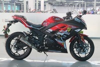 Renzhe Ninjas Nouvelle Moto Sportive Tout-Terrain 250cc à Essence, Vitesse Maximale >80km/h