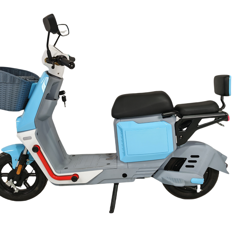 Dual Trike Off Road Electric Motorcycles