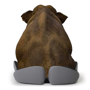 2025 Ce Chứng Nhận Tùy Chỉnh Logo Cao Cấp Chậm Phục Hồi Chỉnh Hình Ergonomic Coccyx Có Thể Tháo Rời Bìa Bộ Nhớ Bọt Ghế Đệm - Product Image 6