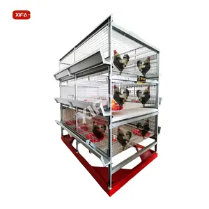 Cages à poulets de fil de personnalisation de haute qualité à vendre des conceptions de poulailler portables Durée de vie 20 ans