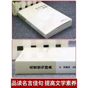 Raccolta completa estratti dizionario citazioni famose materiali composizione buone parole frasi paragrafi libro proverbi - Product Image 3