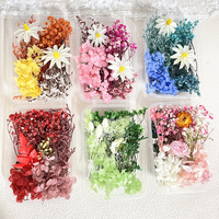 Fleurs séchées mélangées en gros Mini eucalyptus naturel multicolore en vrac matériaux séchés petit paquet fleur séchée déco