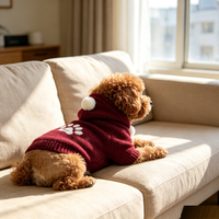 Sweat à capuche pour chien de haute qualité avec motif de patte, pull tricoté pour animaux de compagnie, pompon, chaud pour l'hiver, vêtements mignons pour chiots et chats