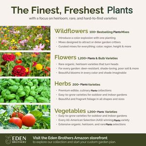 1/<span class=keywords><strong>4</strong></span> Lb Biodegradable Verano Perenne Sucesión Flor Planta Fibra mixta para jardinería 120.000 + - Product Image 6